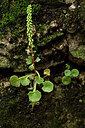 BUITEN BEELD Foto: 440603