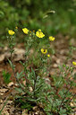 BUITEN BEELD Foto: 440606