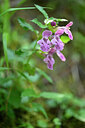 BUITEN BEELD Foto: 440612