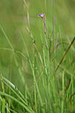 BUITEN BEELD Foto: 440613