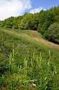 BUITEN BEELD Foto: 440614