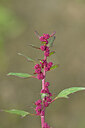 BUITEN BEELD Foto: 440615