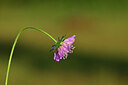 BUITEN BEELD Foto: 440618