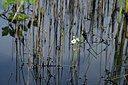 BUITEN BEELD Foto: 440622