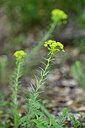 BUITEN BEELD Foto: 440625
