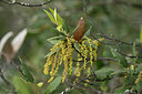 BUITEN BEELD Foto: 440626