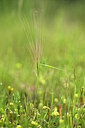 BUITEN BEELD Foto: 440630