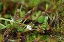 BUITEN BEELD Foto: 440631