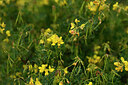 BUITEN BEELD Foto: 440633