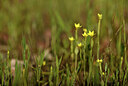 BUITEN BEELD Foto: 440634