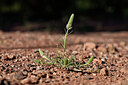 BUITEN BEELD Foto: 440639