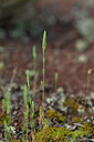 BUITEN BEELD Foto: 440642