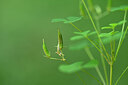 BUITEN BEELD Foto: 440644