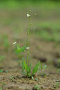 BUITEN BEELD Foto: 440646