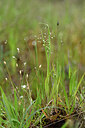 BUITEN BEELD Foto: 440649