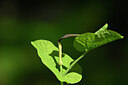 BUITEN BEELD Foto: 440657