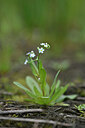 BUITEN BEELD Foto: 440660