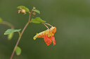 BUITEN BEELD Foto: 440661
