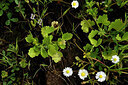 BUITEN BEELD Foto: 440664