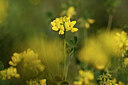 BUITEN BEELD Foto: 440665