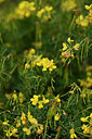 BUITEN BEELD Foto: 440666