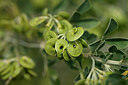 BUITEN BEELD Foto: 440667