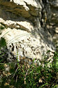 BUITEN BEELD Foto: 440670