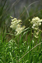 BUITEN BEELD Foto: 440672