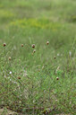 BUITEN BEELD Foto: 440677