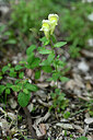 BUITEN BEELD Foto: 440699