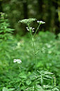BUITEN BEELD Foto: 440701