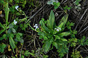 BUITEN BEELD Foto: 440702