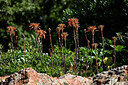 BUITEN BEELD Foto: 440709