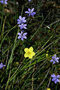 BUITEN BEELD Foto: 440710