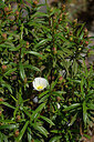 BUITEN BEELD Foto: 440720