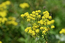 BUITEN BEELD Foto: 440722