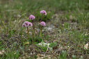 BUITEN BEELD Foto: 440729