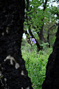 BUITEN BEELD Foto: 440736