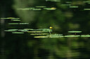 BUITEN BEELD Foto: 440738