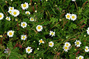 BUITEN BEELD Foto: 440739