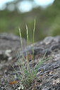 BUITEN BEELD Foto: 440740