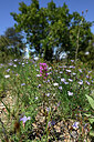 BUITEN BEELD Foto: 440741