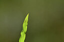 BUITEN BEELD Foto: 440742