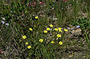 BUITEN BEELD Foto: 440745