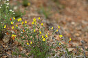 BUITEN BEELD Foto: 440747