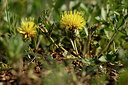 BUITEN BEELD Foto: 440748