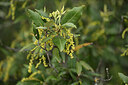 BUITEN BEELD Foto: 440755