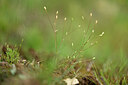 BUITEN BEELD Foto: 440756