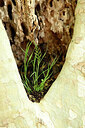 BUITEN BEELD Foto: 440759