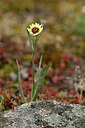 BUITEN BEELD Foto: 440760